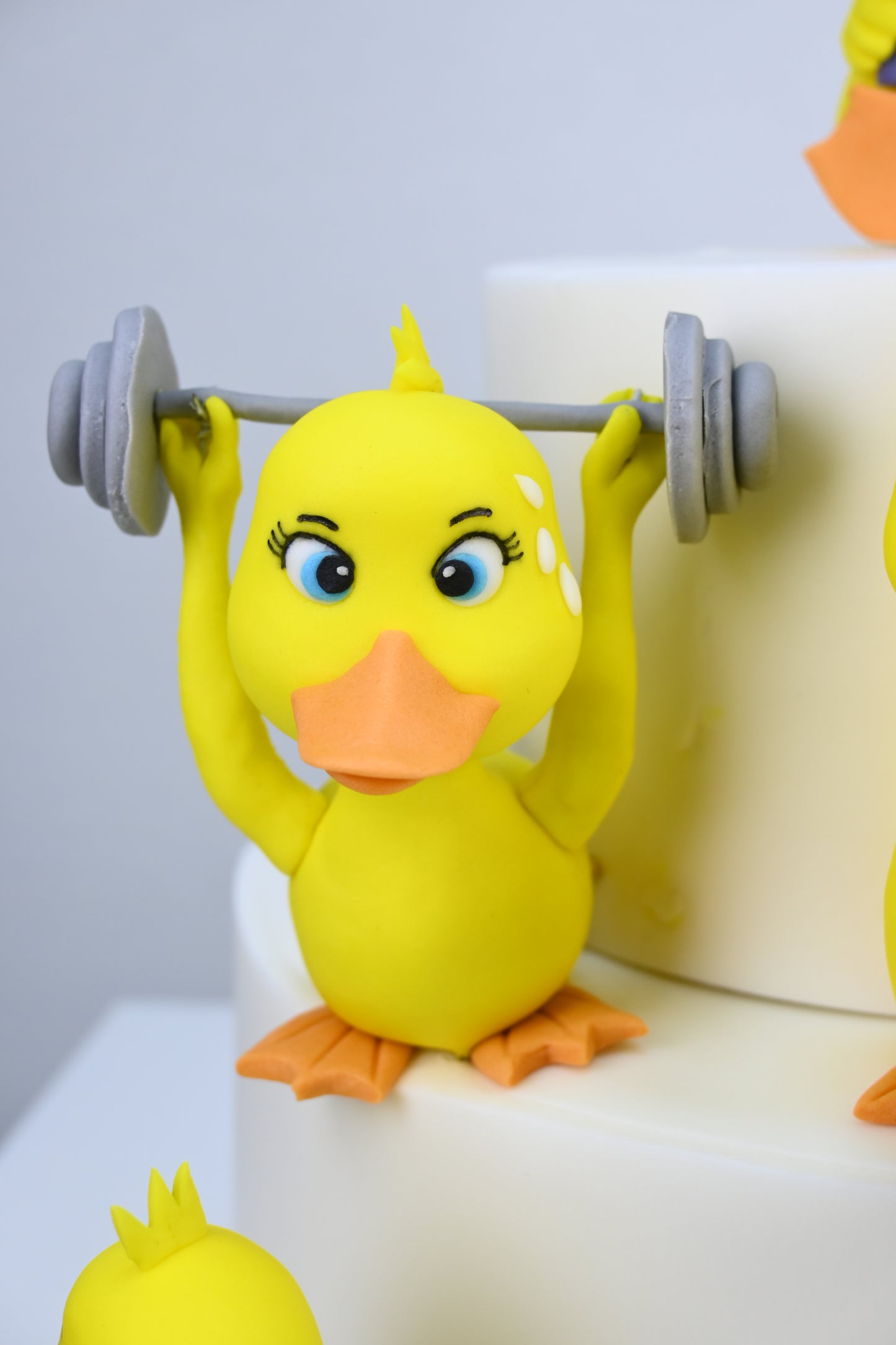 Duck Theme Cake