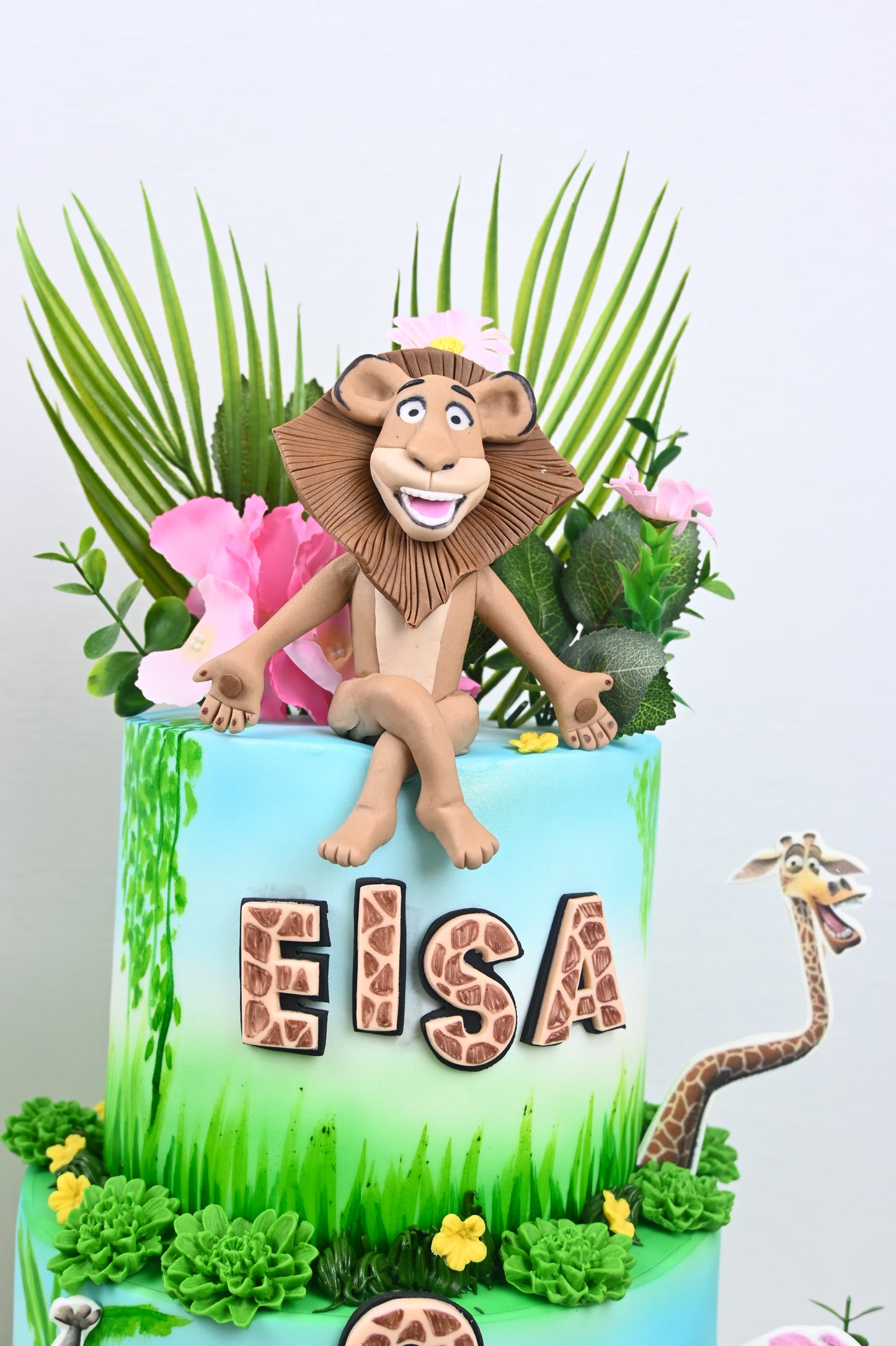 Madagaskar theme cake