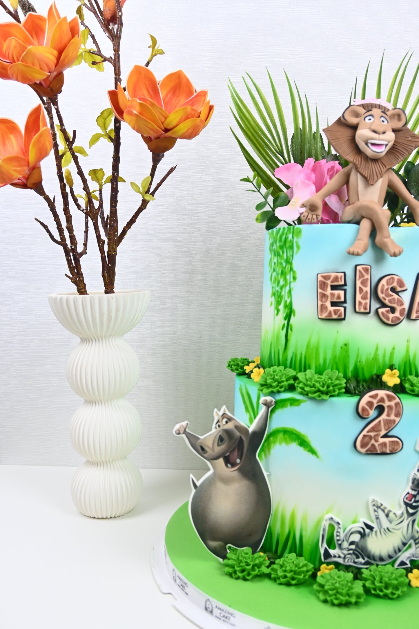 Madagaskar theme cake