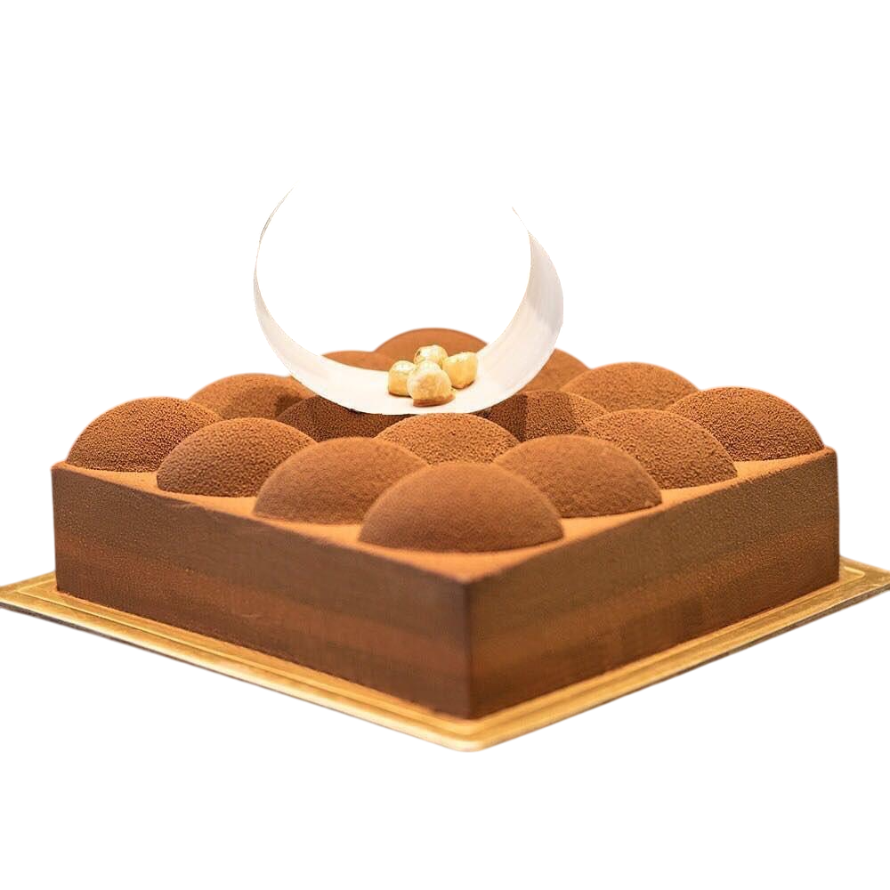 Chocolate Gourmet Cake