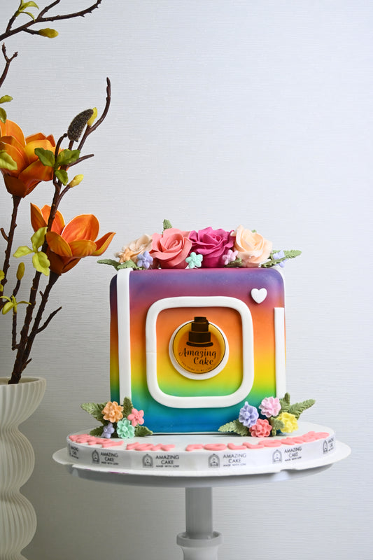 Instagram theme cake