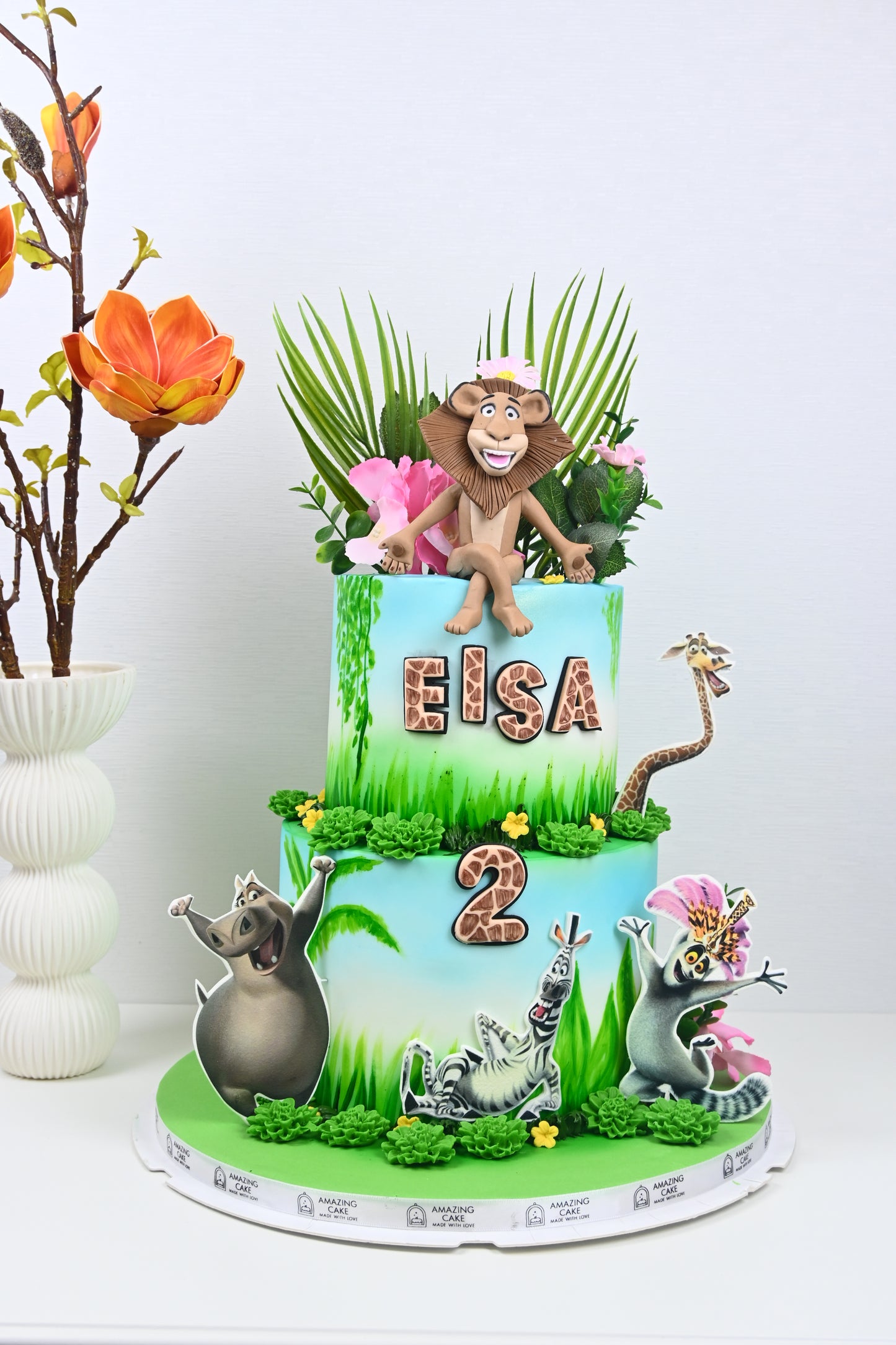 Madagaskar theme cake