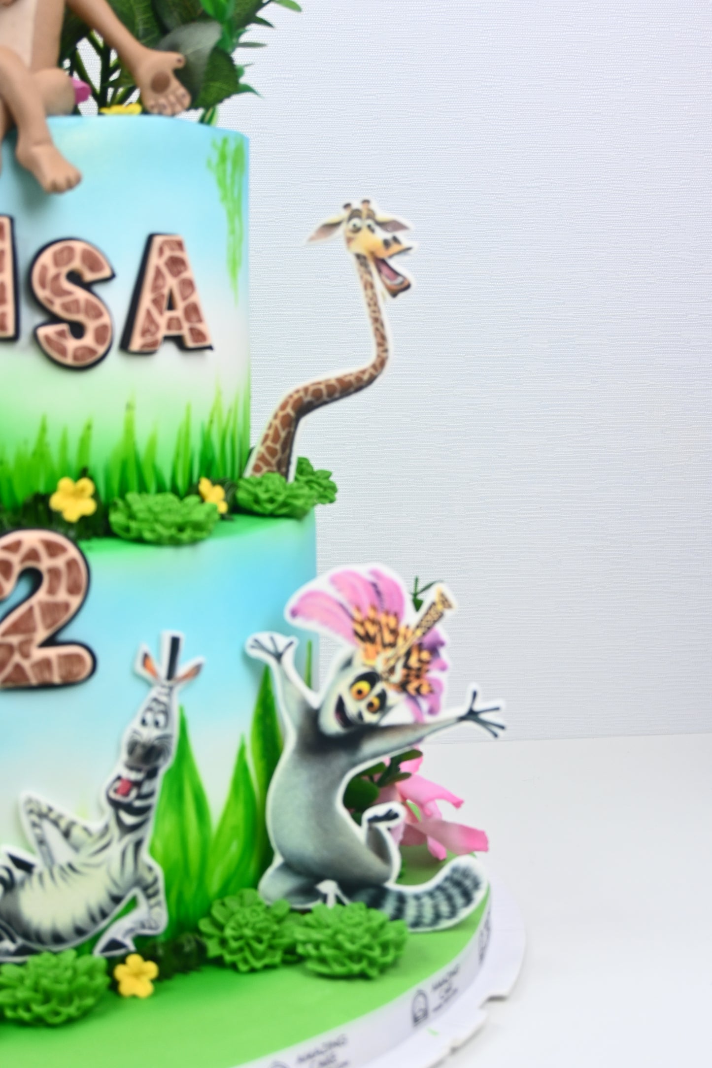 Madagaskar theme cake
