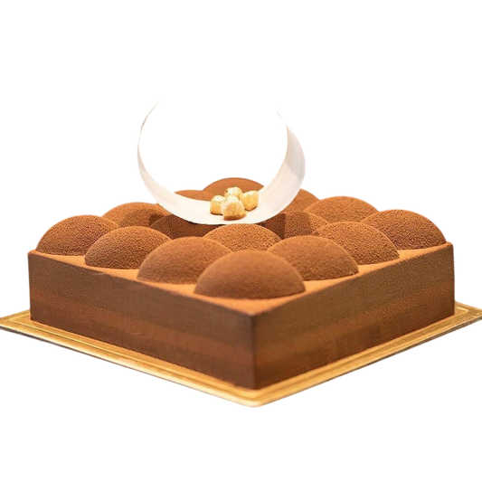 Chocolate Gourmet Cake