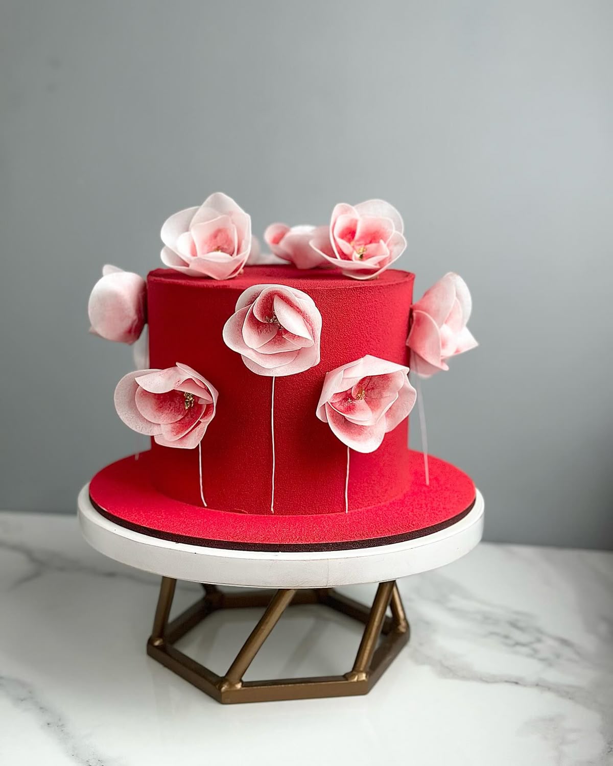 Elegant Red & Pink Cake